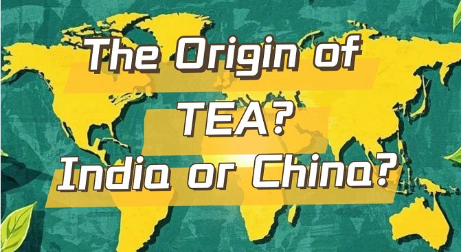 The Origin of tea? India or China?