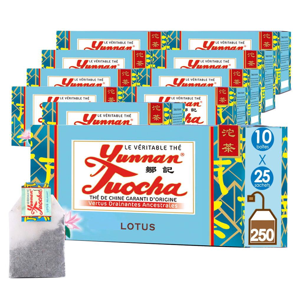 【鄒記雲南沱茶|Zouji Yunnan Tuocha】 蓮の実と雲南プーアル茶です ティー - 20袋(20パック) - 40g - 原産地保証中国茶