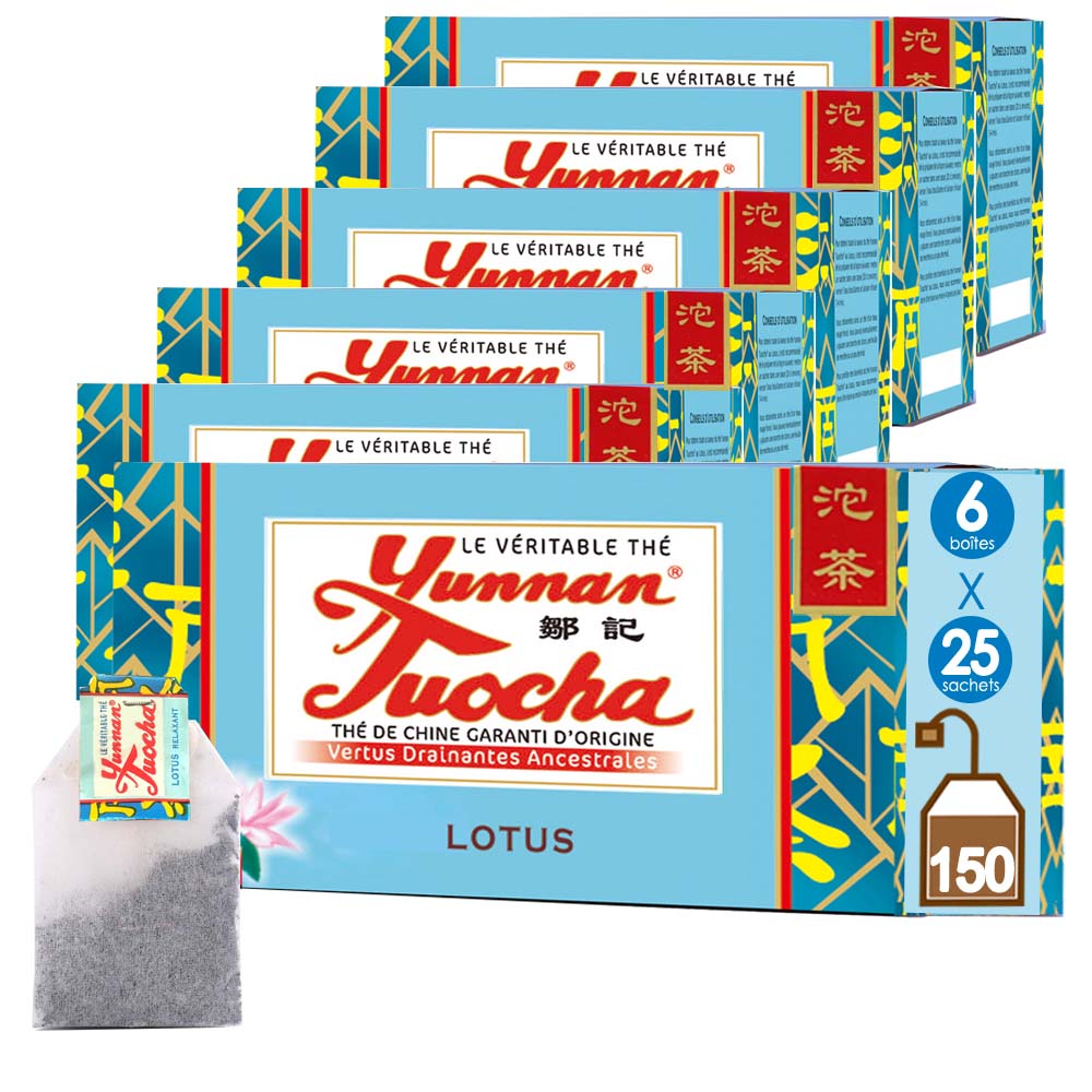 【鄒記雲南沱茶|Zouji Yunnan Tuocha】 蓮の実と雲南プーアル茶です ティー - 20袋(20パック) - 40g - 原産地保証中国茶